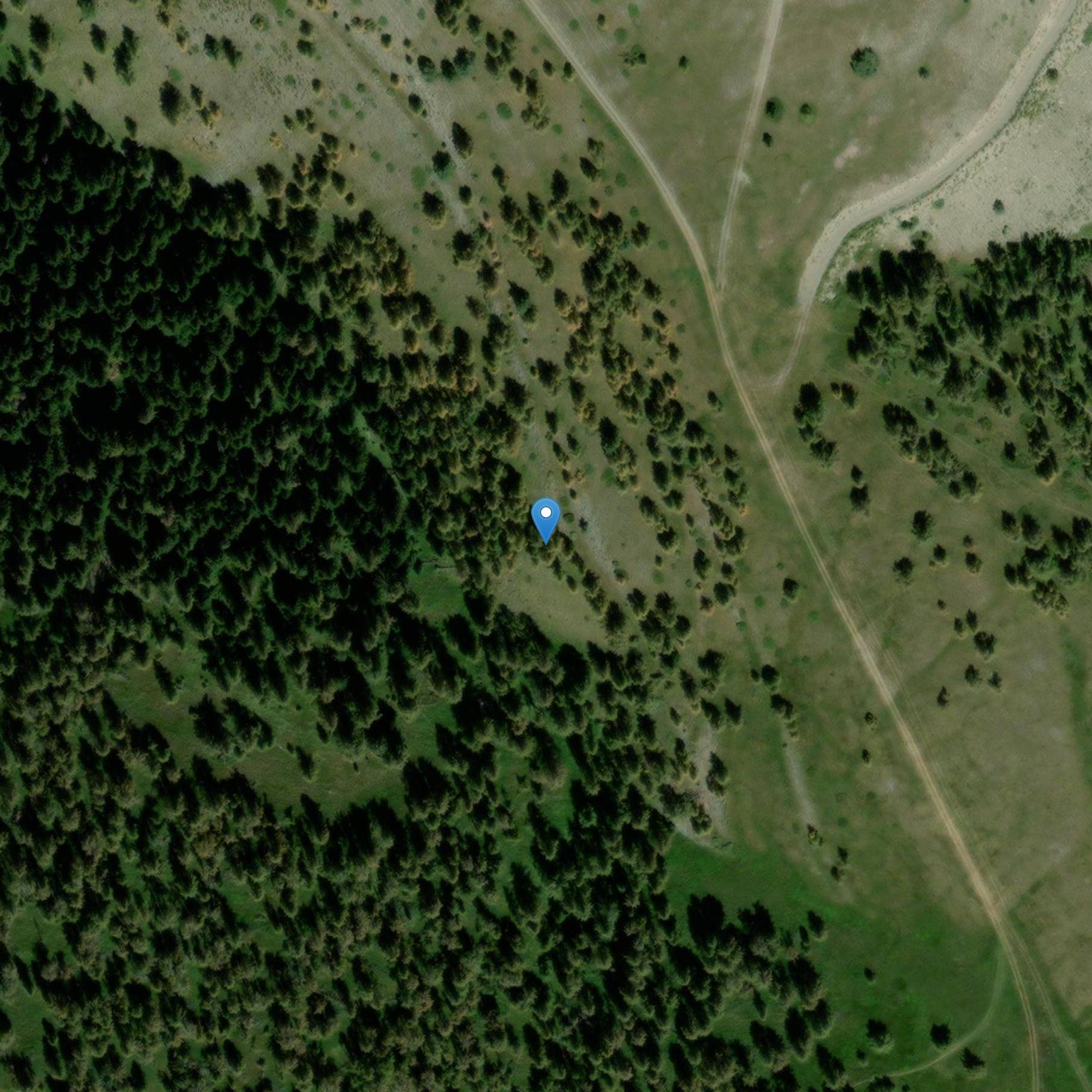 Photo de Vestigios arqueológicos del Santuario Gallic del Cime de Tournery