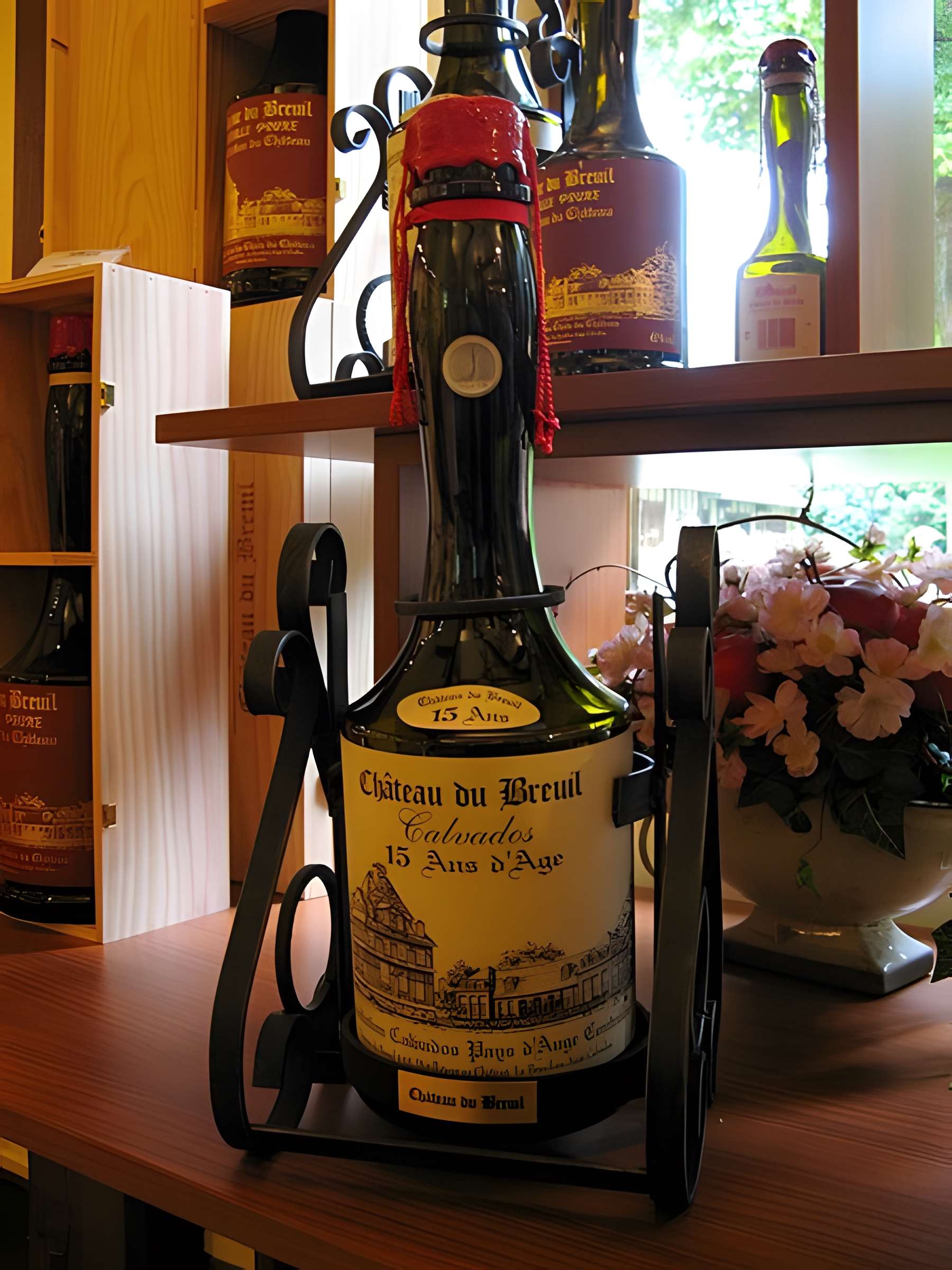 Château du Breuil au Breuil-en-Auge 