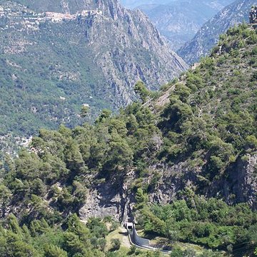 Section des vallons de la Garde et de Costa Rasta, section représentative du canal de la Vésubie