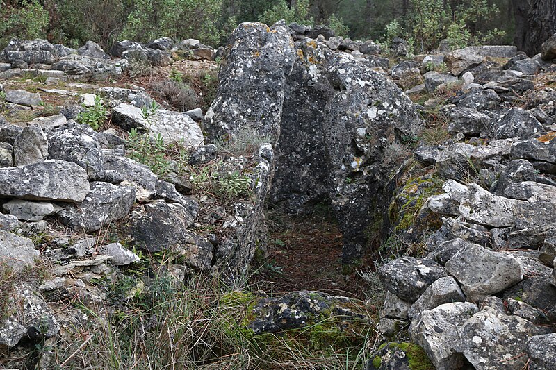 Photo de Dolmen de Colbas I