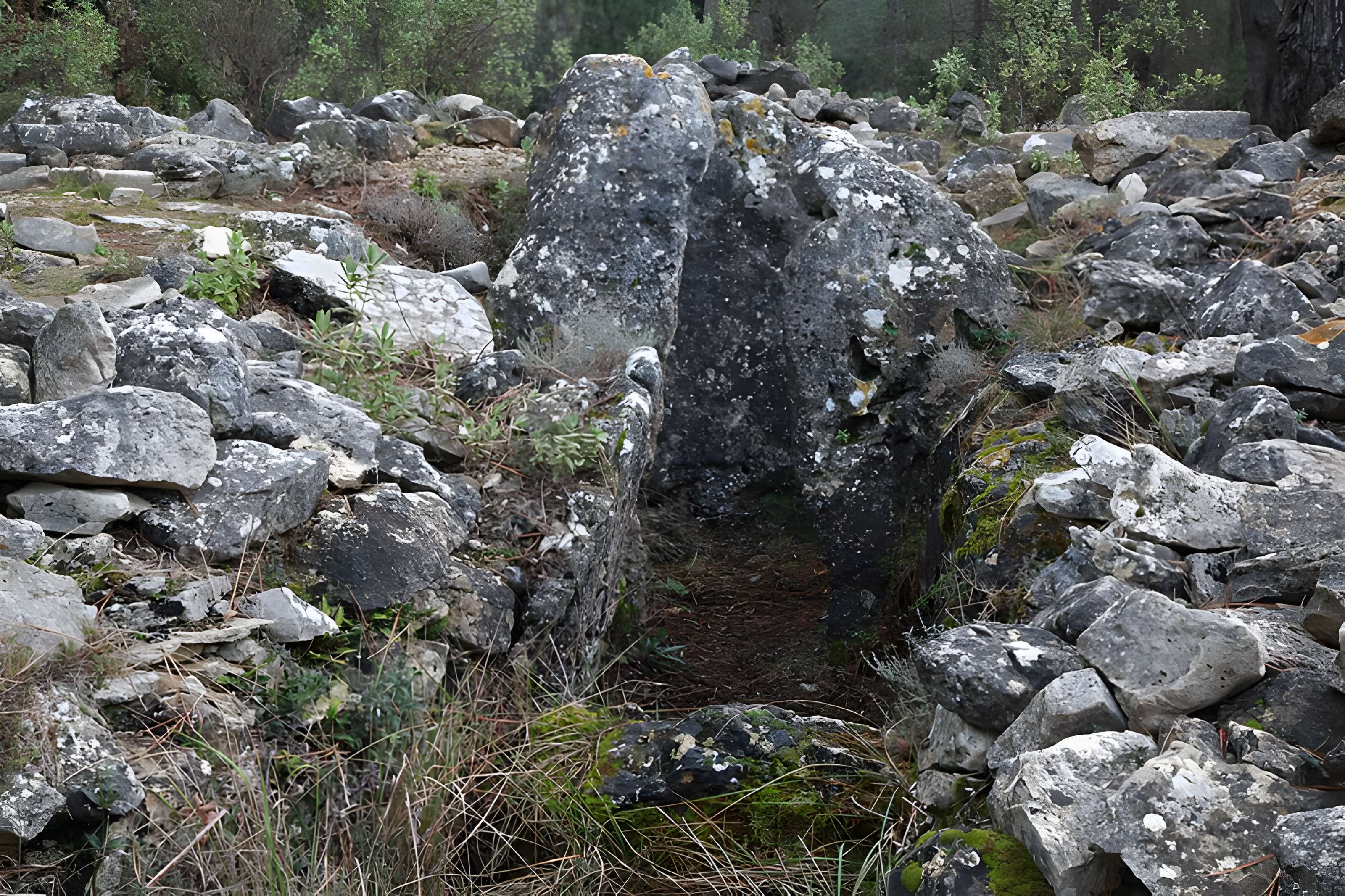 Dolmen de Colbas I