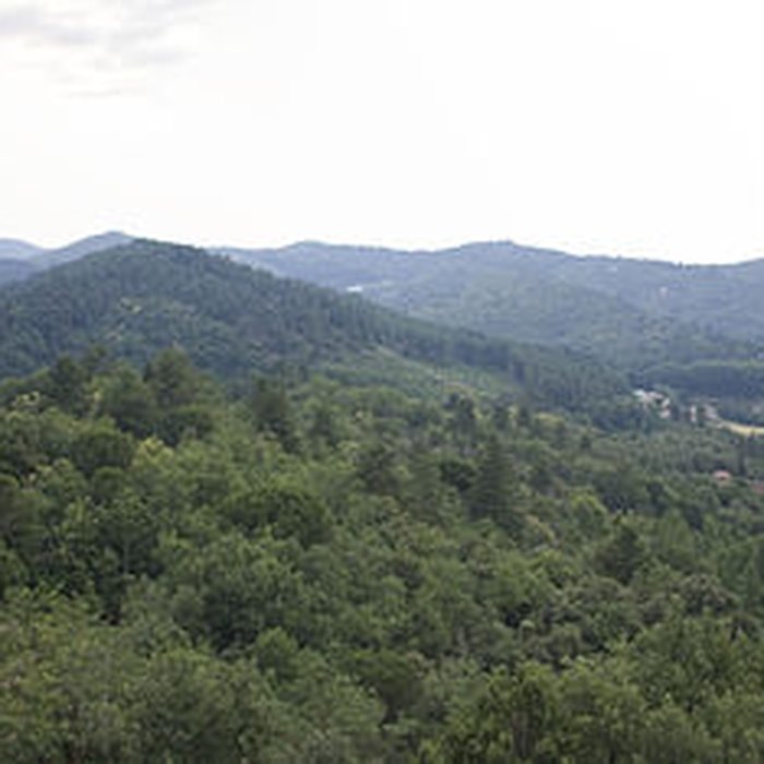 Photo de Château du Castellas