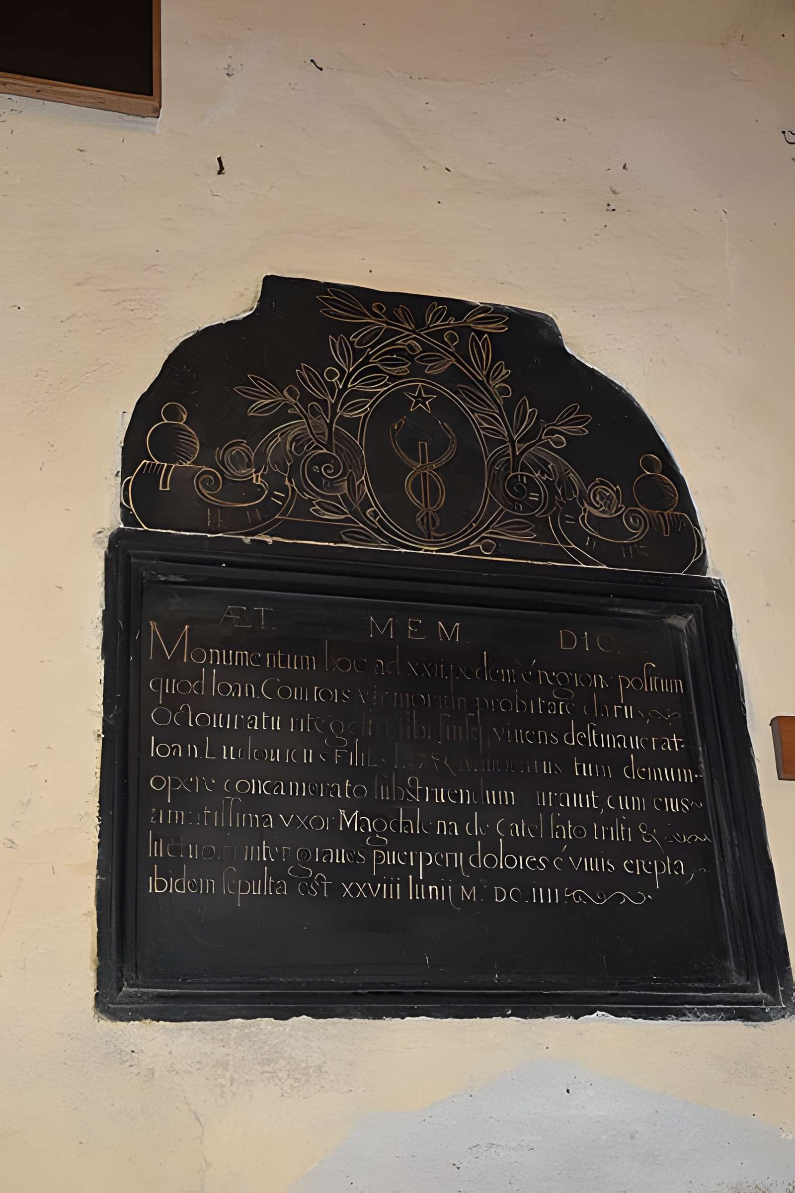 Cathédrale Saint-Étienne de Toulouse