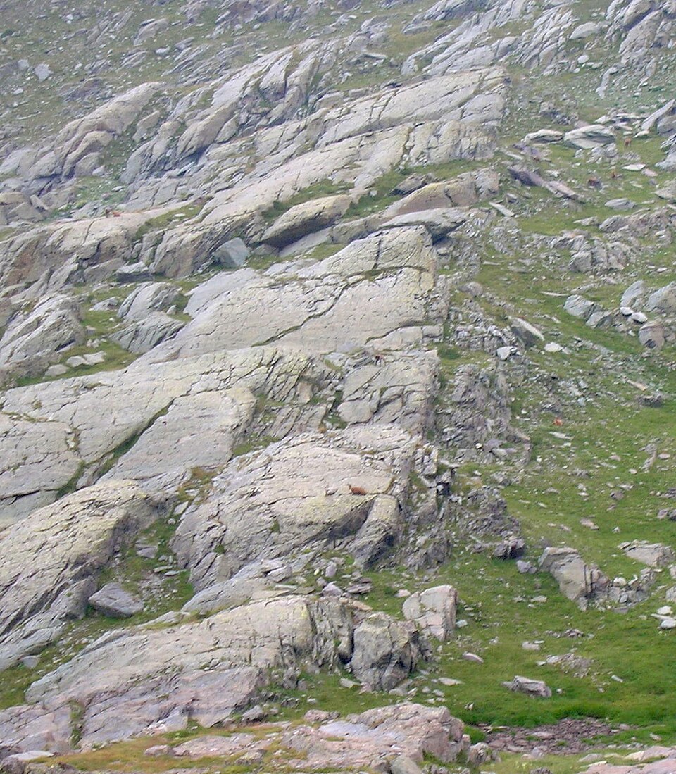 Gravures rupestres de la vallée des Merveilles et de la région du Mont Bégo