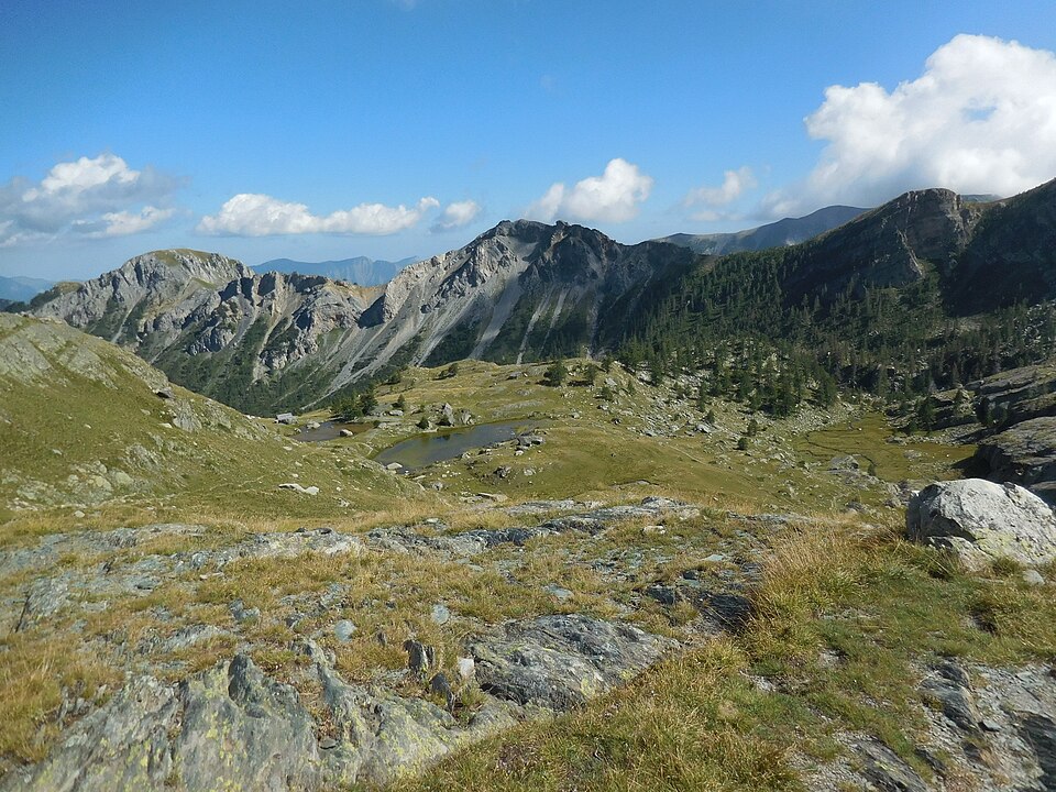 Gravures rupestres de la vallée des Merveilles et de la région du Mont Bégo