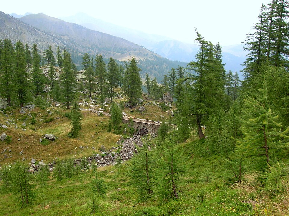 Gravures rupestres de la vallée des Merveilles et de la région du Mont Bégo