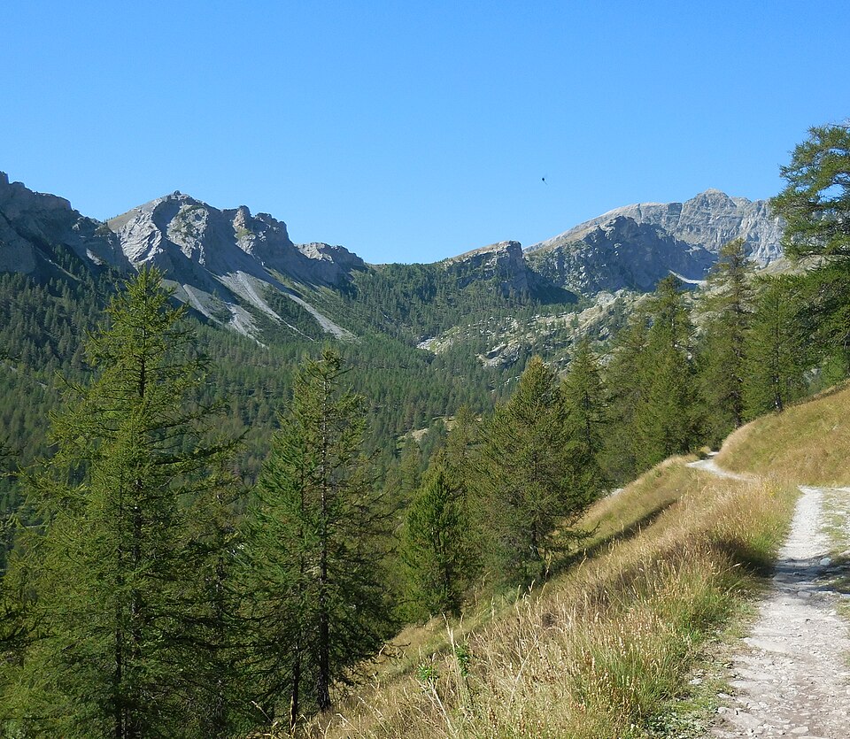 Gravures rupestres de la vallée des Merveilles et de la région du Mont Bégo