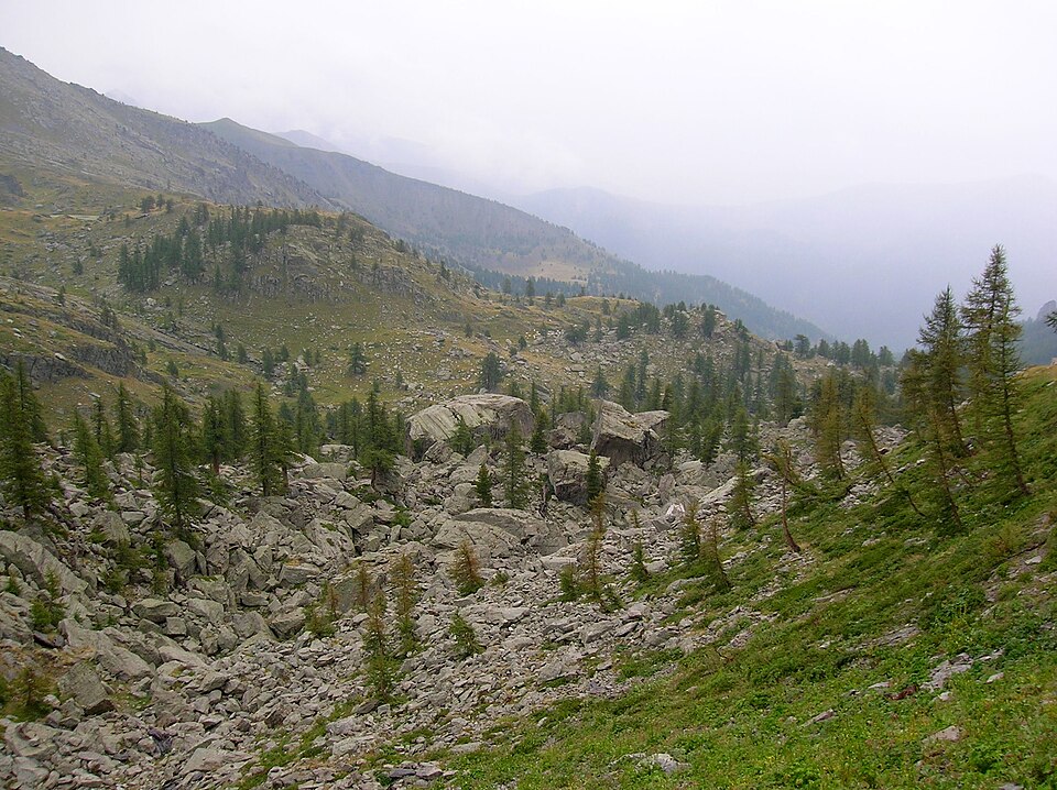 Gravures rupestres de la vallée des Merveilles et de la région du Mont Bégo
