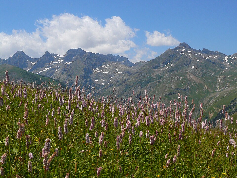 Gravures rupestres de la vallée des Merveilles et de la région du Mont Bégo