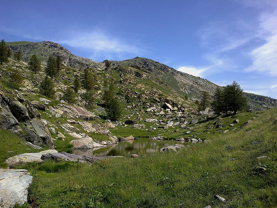 Gravures rupestres de la vallée des Merveilles et de la région du Mont Bégo