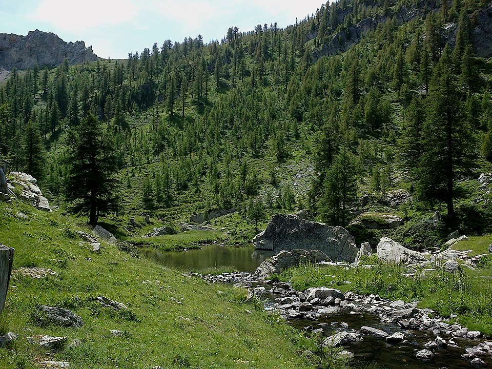 Gravures rupestres de la vallée des Merveilles et de la région du Mont Bégo