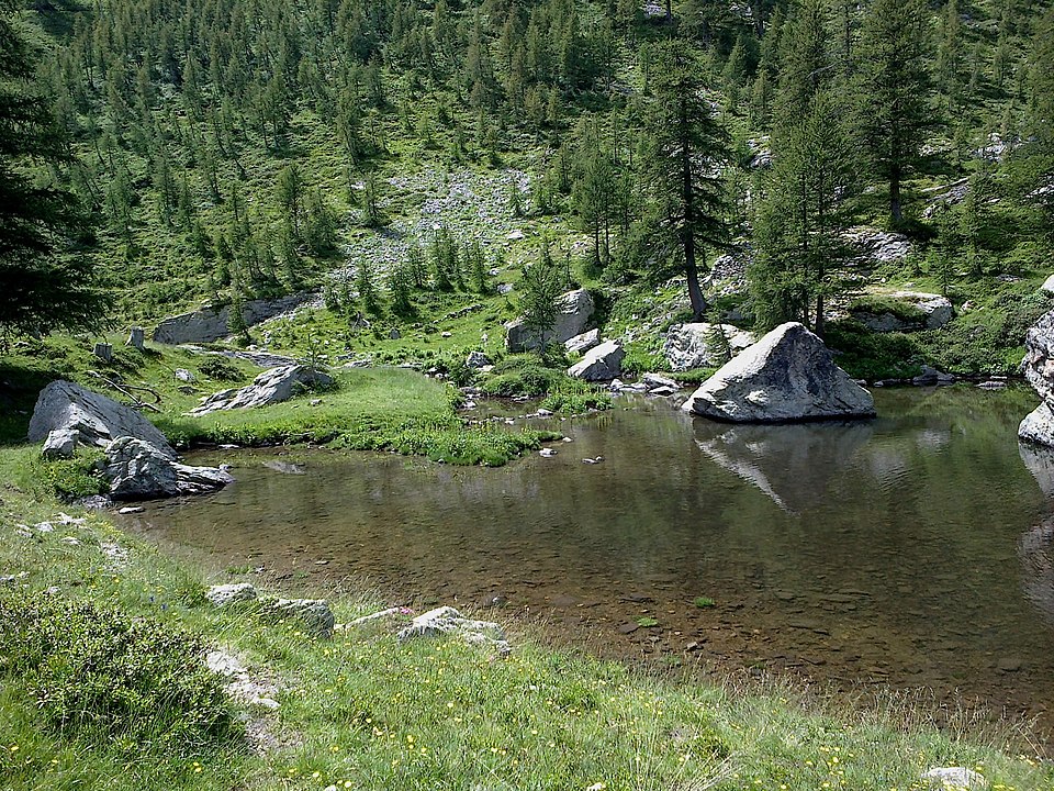 Gravures rupestres de la vallée des Merveilles et de la région du Mont Bégo
