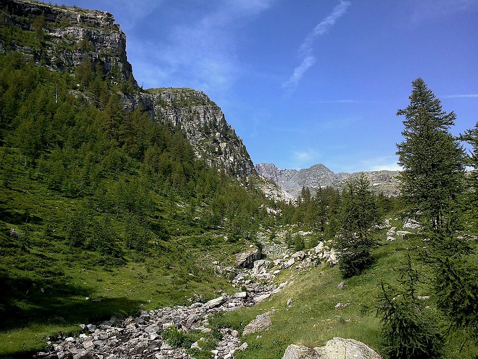 Gravures rupestres de la vallée des Merveilles et de la région du Mont Bégo