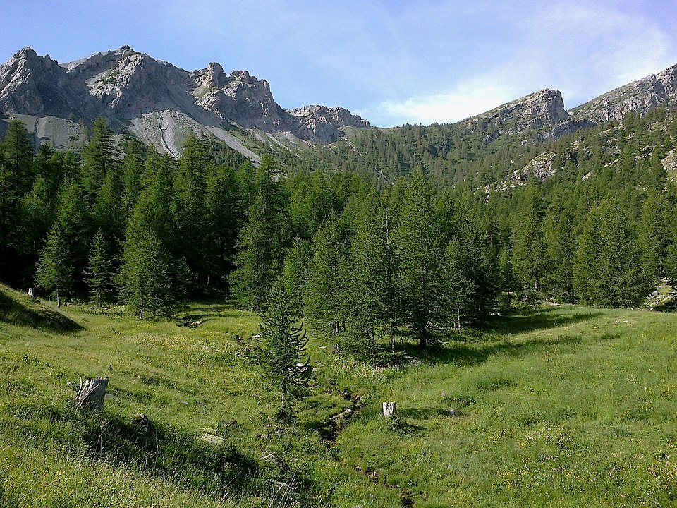 Gravures rupestres de la vallée des Merveilles et de la région du Mont Bégo