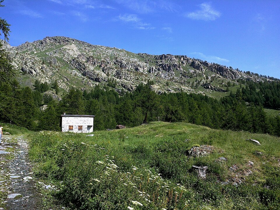 Gravures rupestres de la vallée des Merveilles et de la région du Mont Bégo