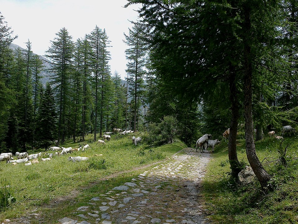 Gravures rupestres de la vallée des Merveilles et de la région du Mont Bégo