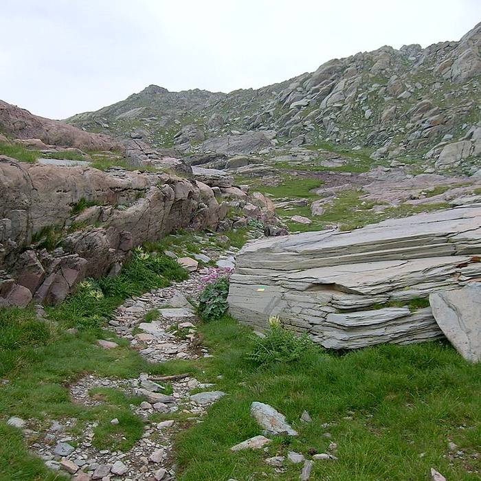 Photo de Gravures rupestres de la vallée des Merveilles et de la région du Mont Bégo