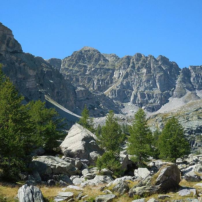 Photo de Gravures rupestres de la vallée des Merveilles et de la région du Mont Bégo