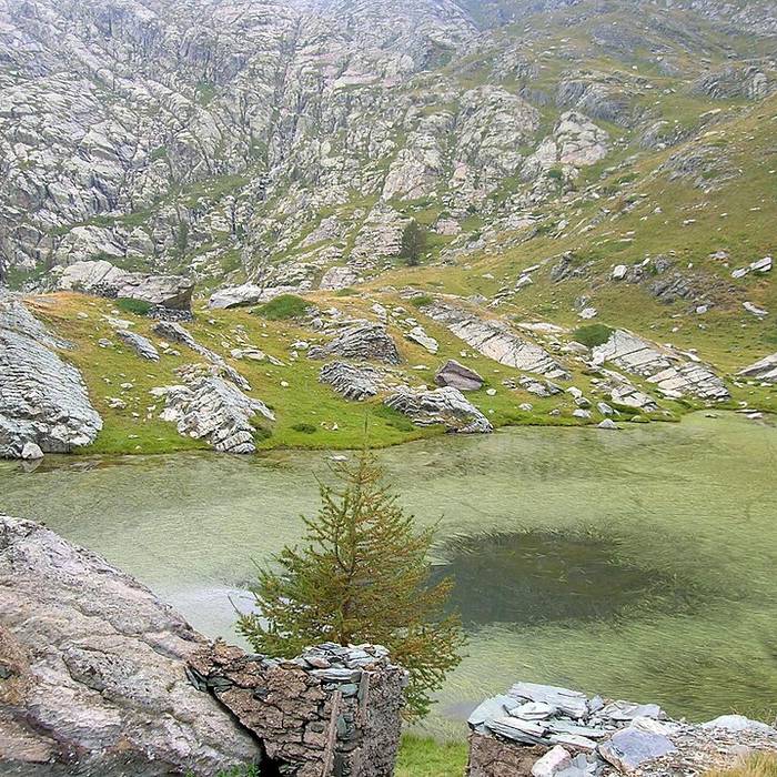 Photo de Gravures rupestres de la vallée des Merveilles et de la région du Mont Bégo