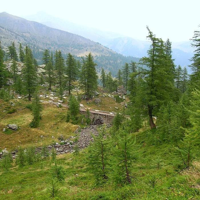 Photo de Gravures rupestres de la vallée des Merveilles et de la région du Mont Bégo