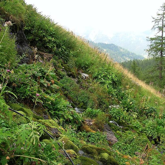 Photo de Gravures rupestres de la vallée des Merveilles et de la région du Mont Bégo