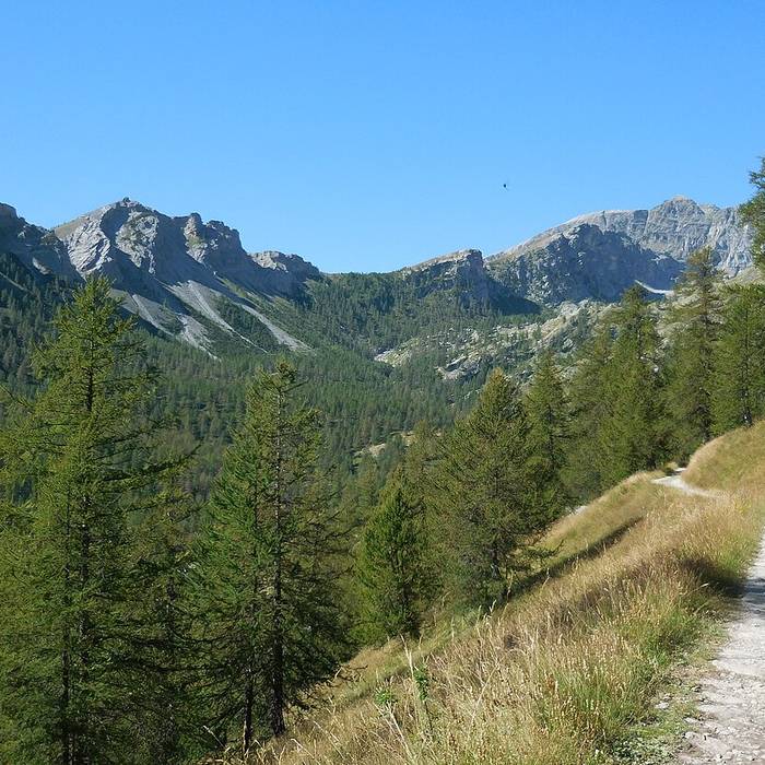 Photo de Gravures rupestres de la vallée des Merveilles et de la région du Mont Bégo