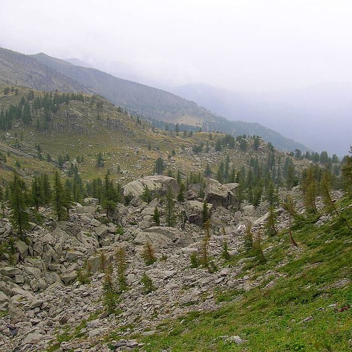 Photo de Gravures rupestres de la vallée des Merveilles et de la région du Mont Bégo