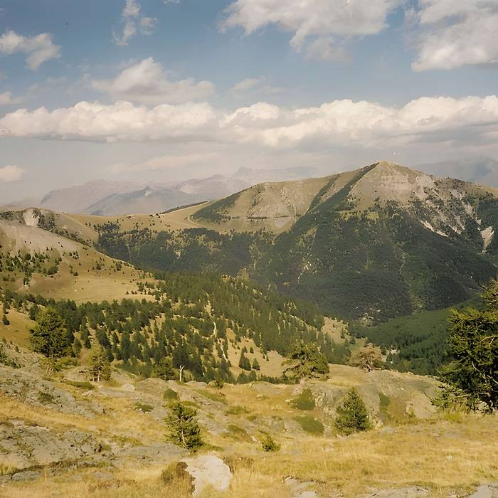 Photo de Gravures rupestres de la vallée des Merveilles et de la région du Mont Bégo
