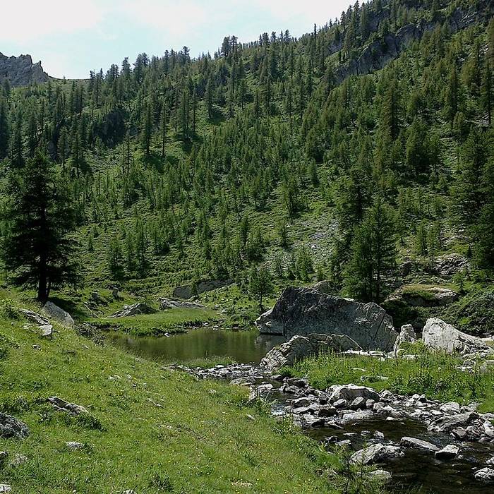 Photo de Gravures rupestres de la vallée des Merveilles et de la région du Mont Bégo