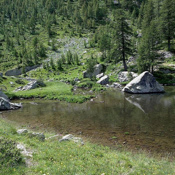 Photo de Gravures rupestres de la vallée des Merveilles et de la région du Mont Bégo