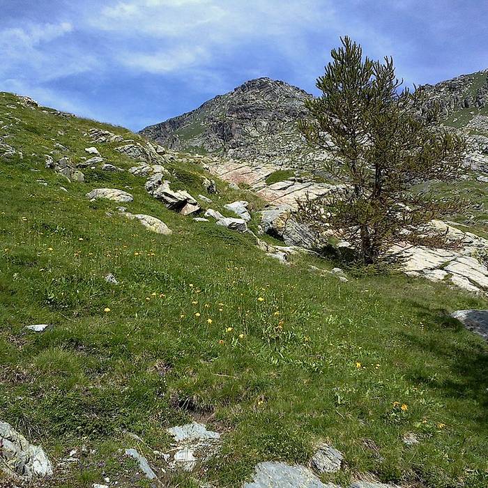 Photo de Gravures rupestres de la vallée des Merveilles et de la région du Mont Bégo