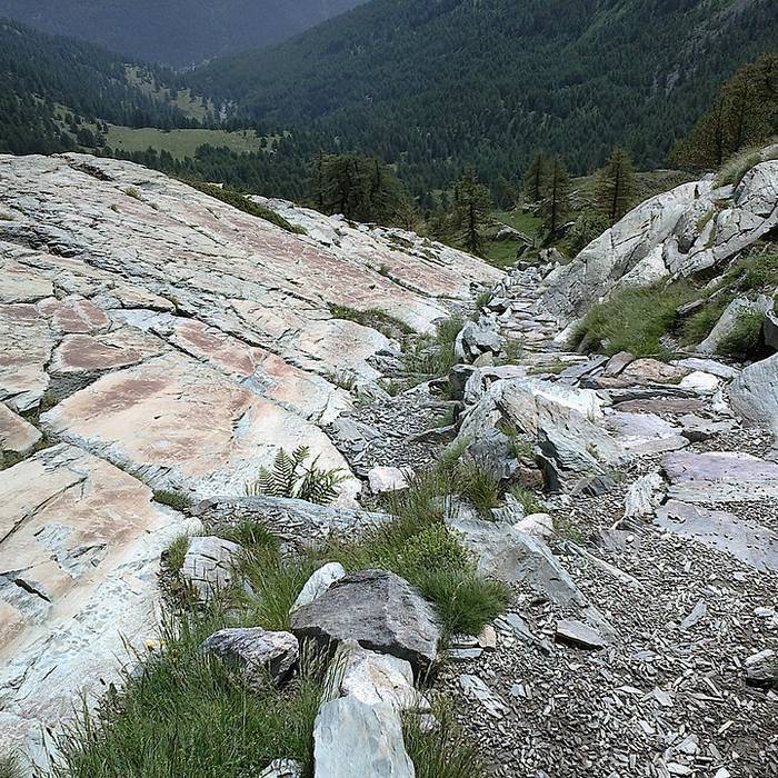 Photo de Gravures rupestres de la vallée des Merveilles et de la région du Mont Bégo