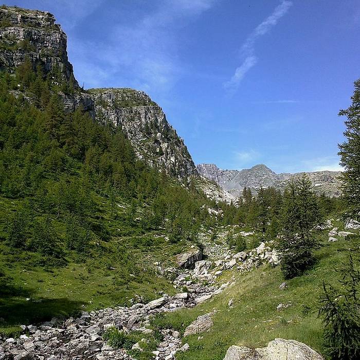 Photo de Gravures rupestres de la vallée des Merveilles et de la région du Mont Bégo