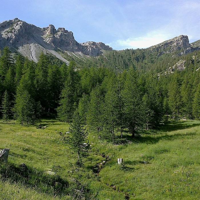 Photo de Gravures rupestres de la vallée des Merveilles et de la région du Mont Bégo