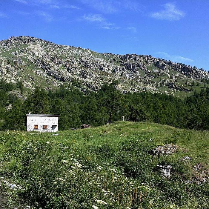 Photo de Gravures rupestres de la vallée des Merveilles et de la région du Mont Bégo