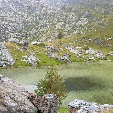 Gravures rupestres de la vallée des Merveilles et de la région du Mont Bégo