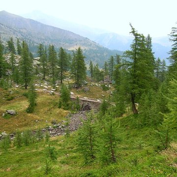 Gravures rupestres de la vallée des Merveilles et de la région du Mont Bégo