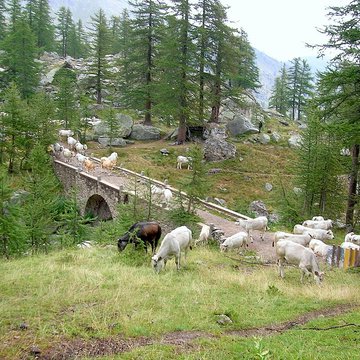 Gravures rupestres de la vallée des Merveilles et de la région du Mont Bégo