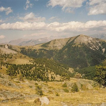 Gravures rupestres de la vallée des Merveilles et de la région du Mont Bégo