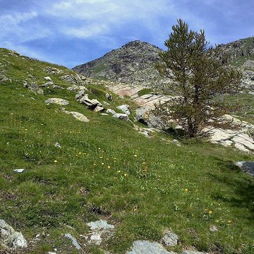 Gravures rupestres de la vallée des Merveilles et de la région du Mont Bégo