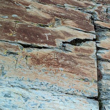 Gravures rupestres de la vallée des Merveilles et de la région du Mont Bégo