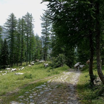 Gravures rupestres de la vallée des Merveilles et de la région du Mont Bégo