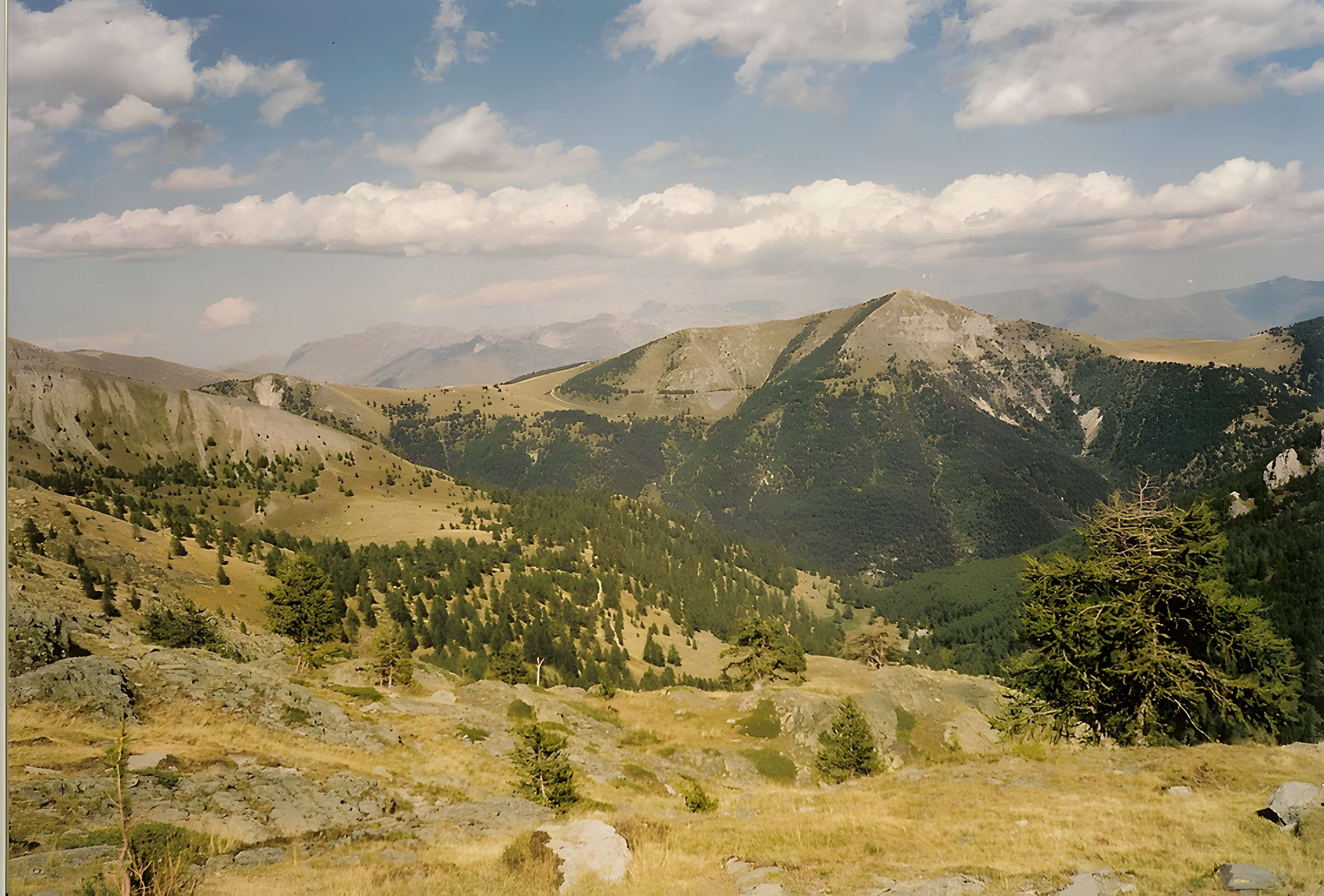 Gravures rupestres de la vallée des Merveilles et de la région du Mont Bégo