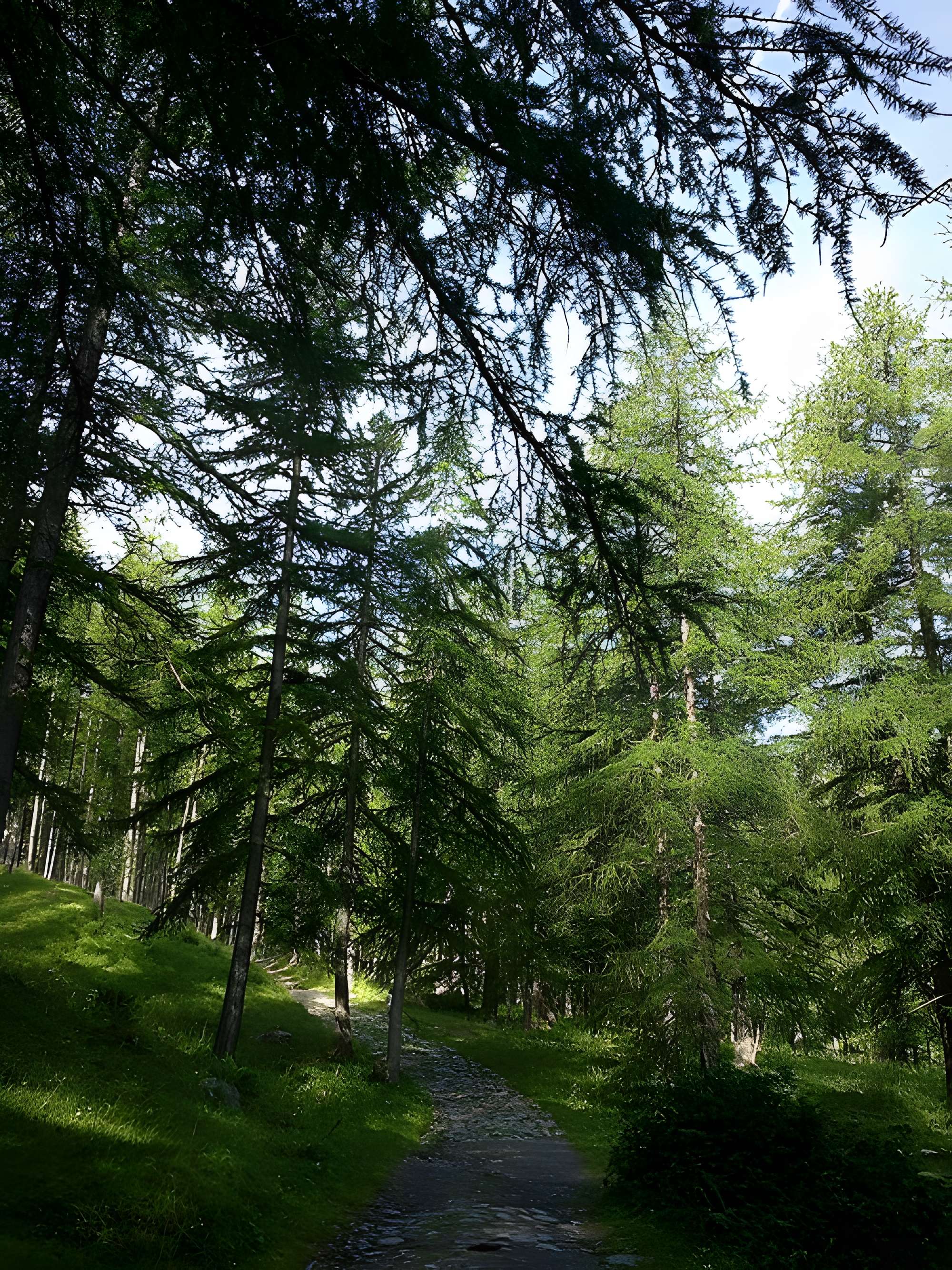 Gravures rupestres de la vallée des Merveilles et de la région du Mont Bégo