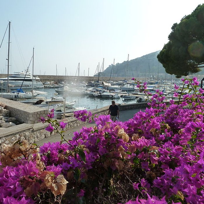 Photo de Port de la Darse bâtiments et éléments dinfrastructure