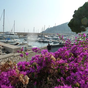 Port de la Darse bâtiments et éléments dinfrastructure