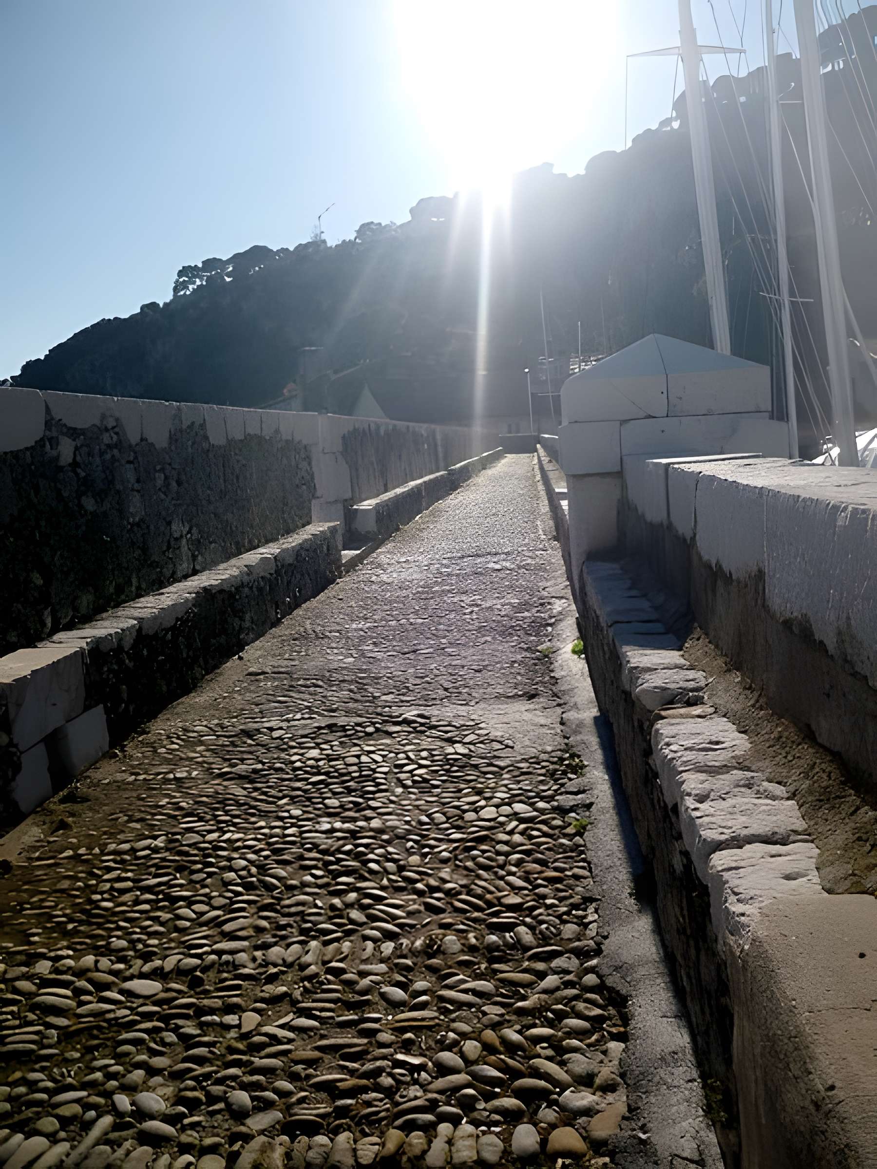 Port de la Darse (bâtiments et éléments d'infrastructure)