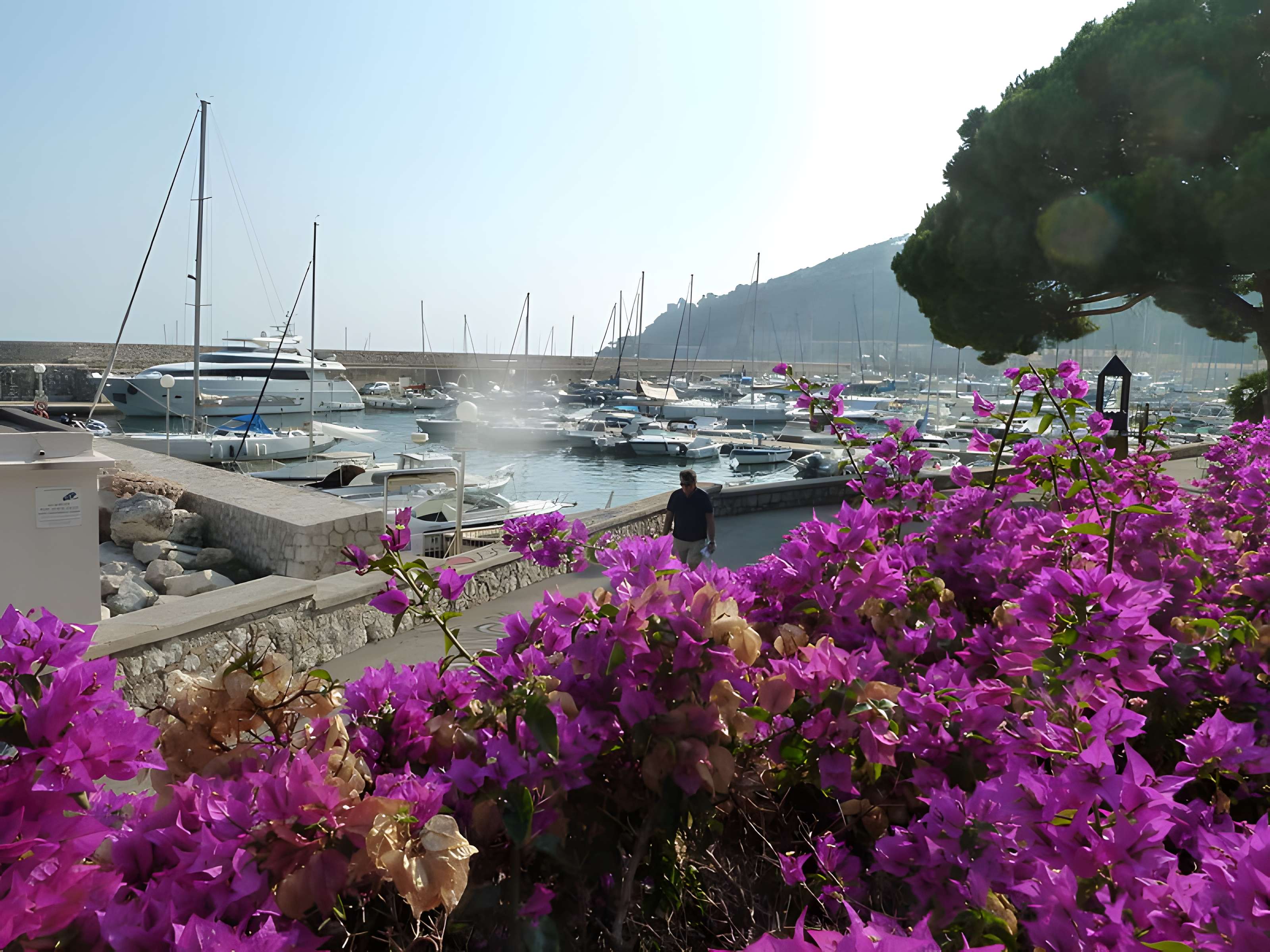 Port de la Darse (bâtiments et éléments d'infrastructure)