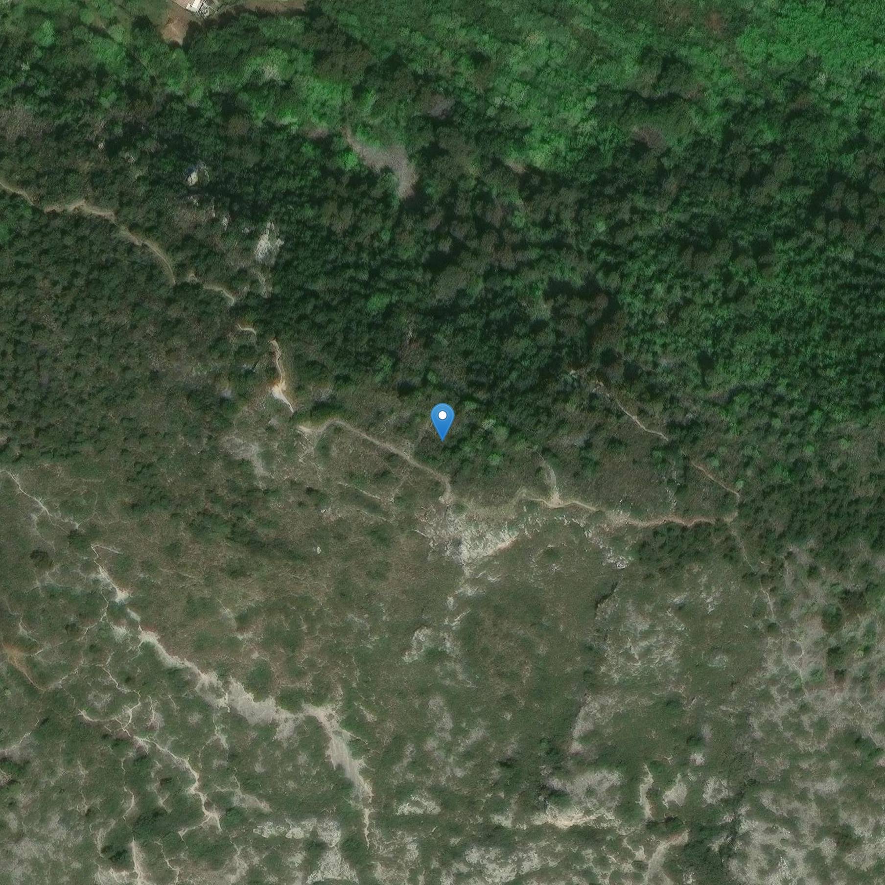 Photo de Oppidum du Castellar