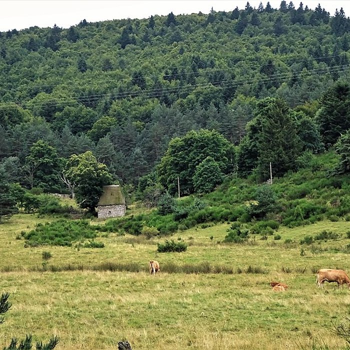 Photo de Le moulin de Cassonié